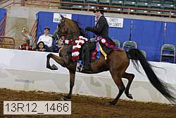 13r12_1466 proof