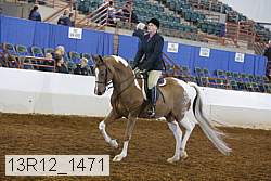 13r12_1471 proof