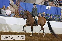13r12_1473 proof