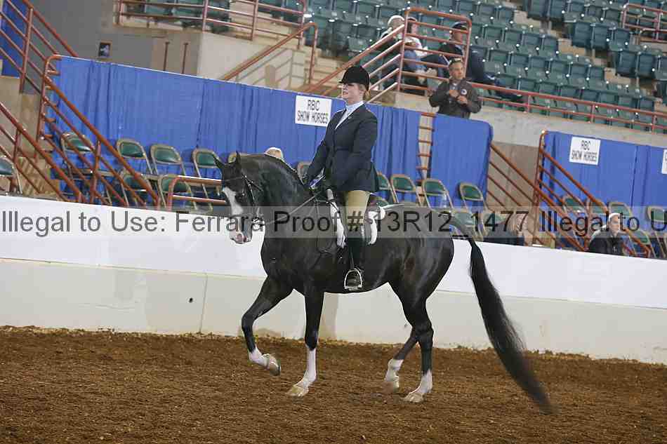 Proof 13r12_1477