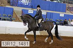 13r12_1481 proof