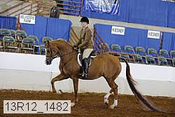 13r12_1482 proof