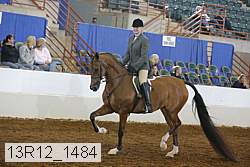 13r12_1484 proof
