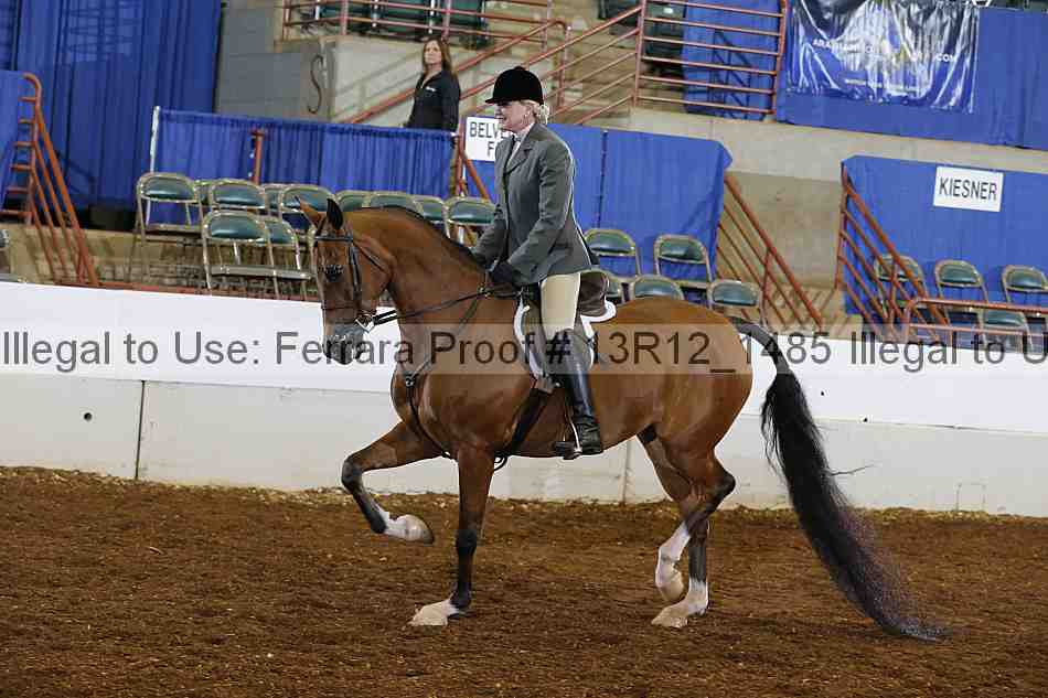 Proof 13r12_1485