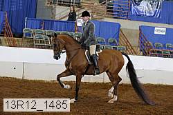 13r12_1485 proof
