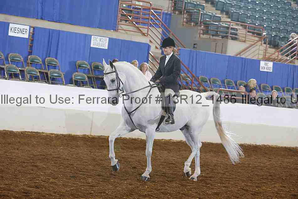 Proof 13r12_1486