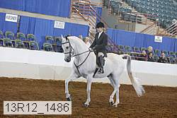 13r12_1486 proof