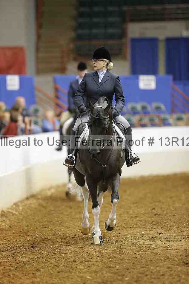 Proof 13r12_1487