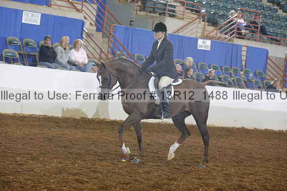 Proof 13r12_1488