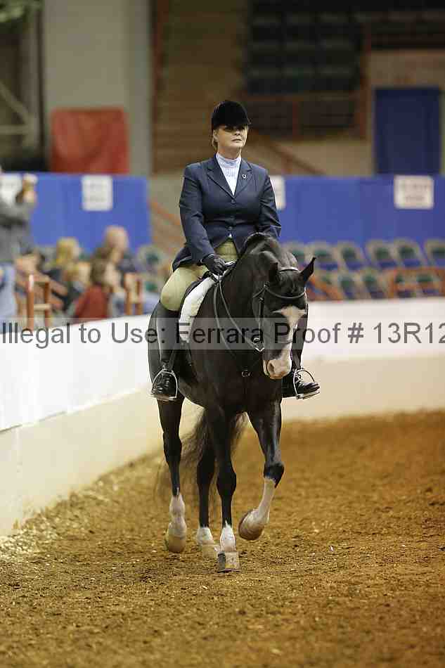 Proof 13r12_1489