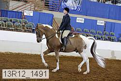 13r12_1491 proof