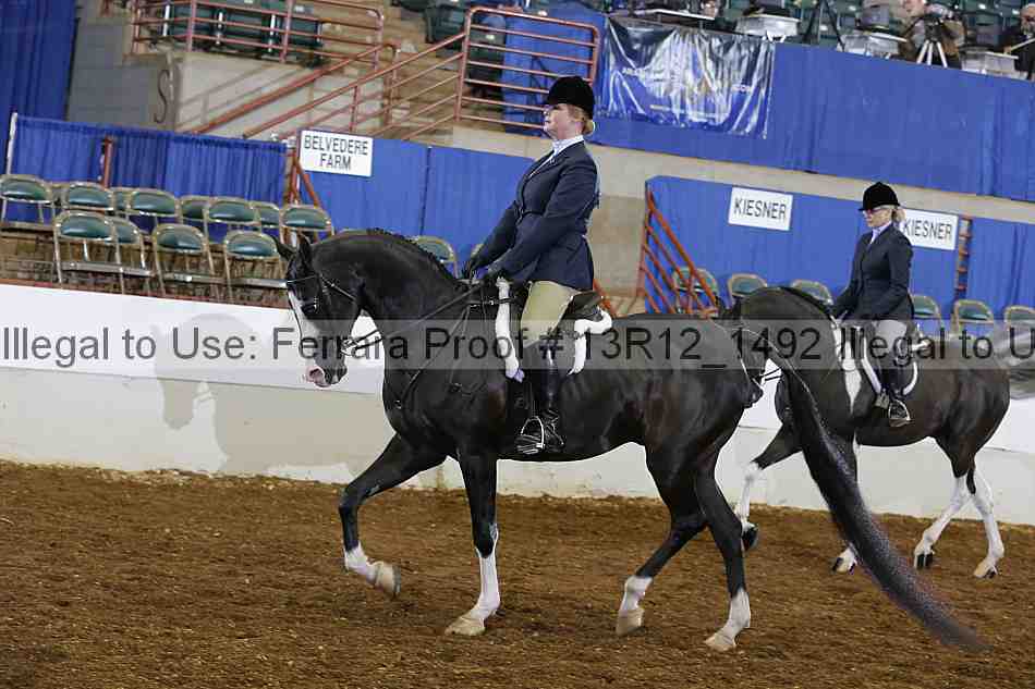 Proof 13r12_1492