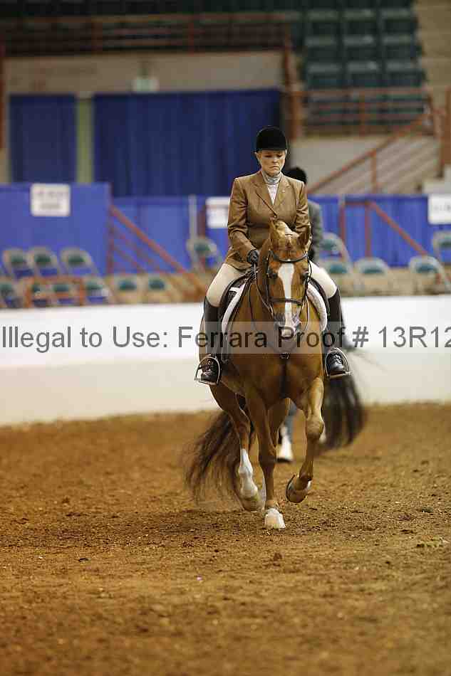 Proof 13r12_1493