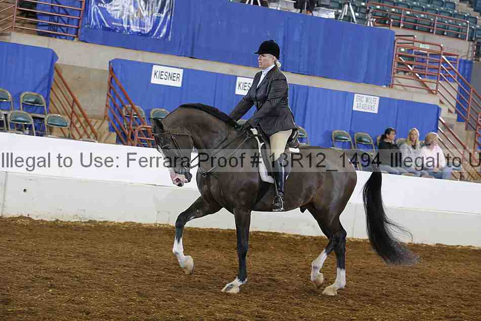 Proof 13r12_1494