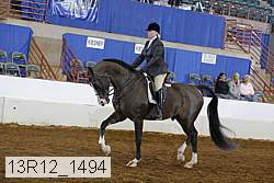 13r12_1494 proof
