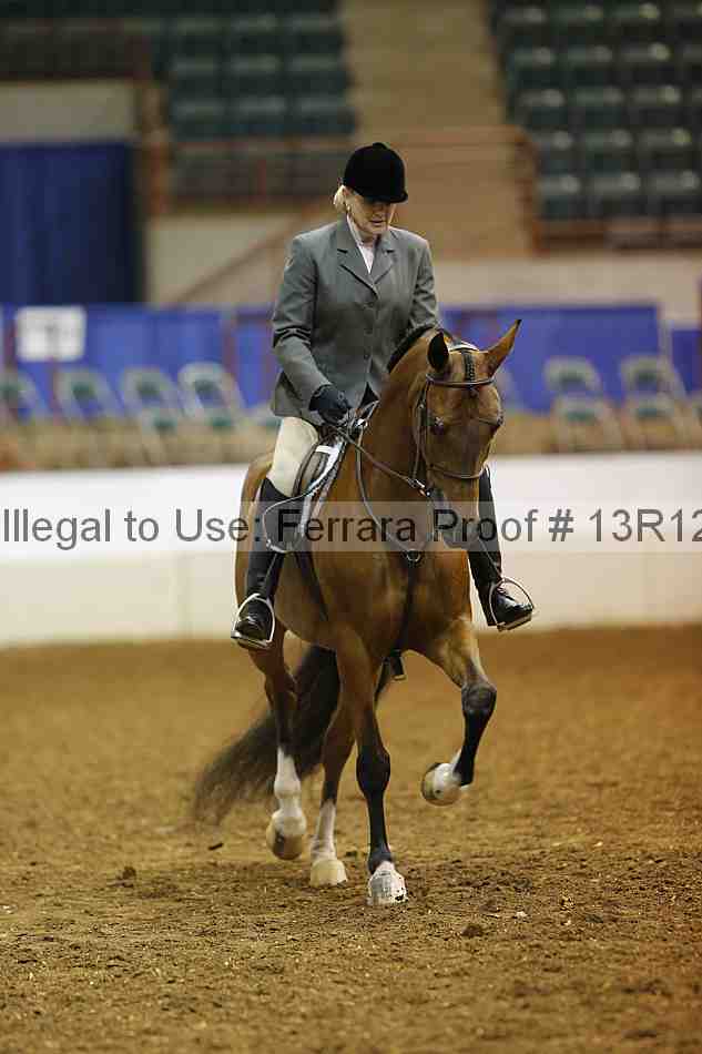 Proof 13r12_1495