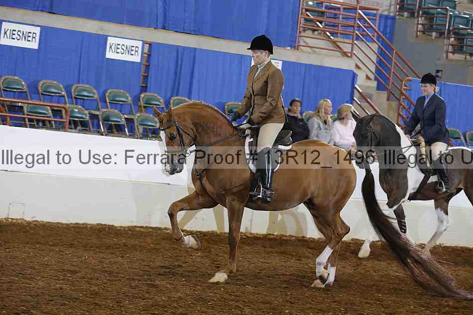 Proof 13r12_1496