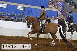 13r12_1496 proof