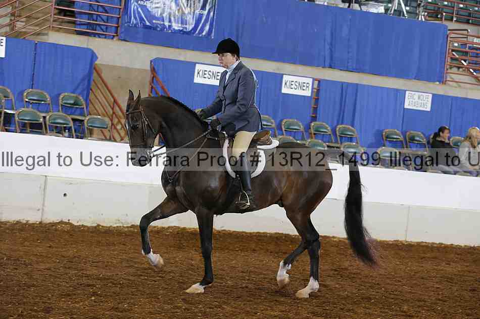 Proof 13r12_1499