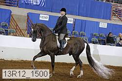 13r12_1500 proof