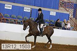 13r12_1503 proof