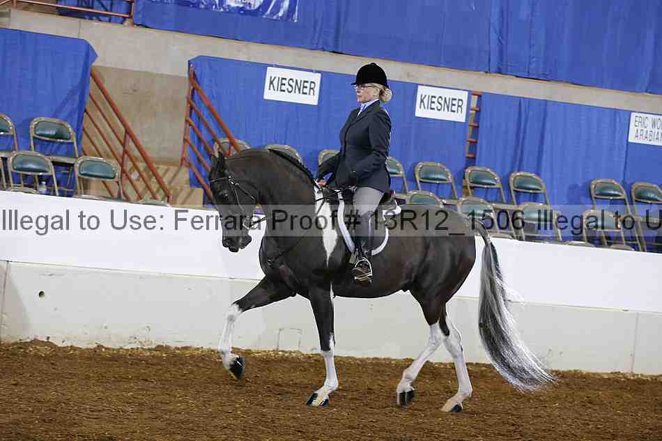 Proof 13r12_1506