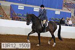 13r12_1509 proof
