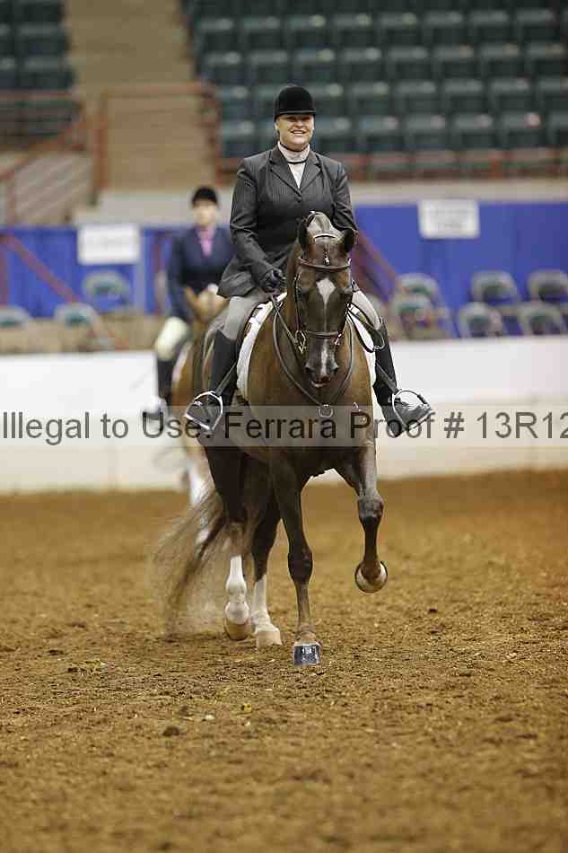 Proof 13r12_1510