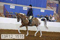 13r12_1515 proof