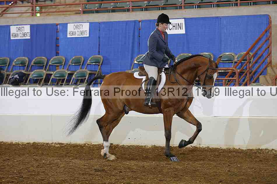 Proof 13r12_1519