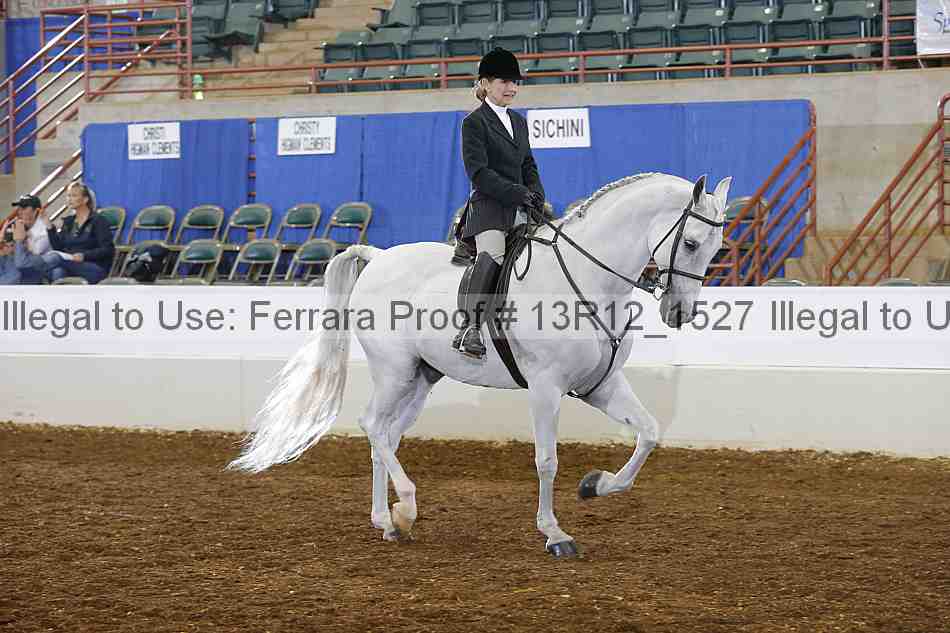 Proof 13r12_1527
