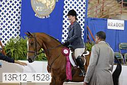 13r12_1528 proof
