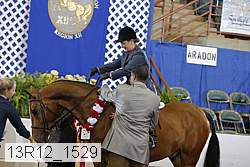 13r12_1529 proof