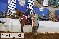 13r12_1531 proof