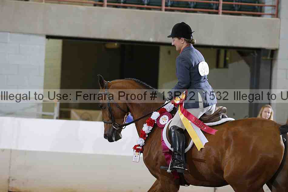 Proof 13r12_1532
