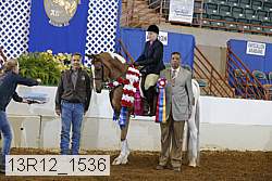 13r12_1536 proof