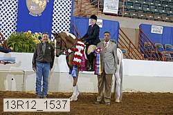 13r12_1537 proof
