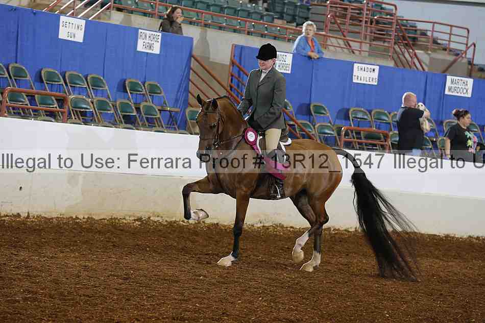 Proof 13r12_1547