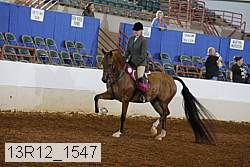 13r12_1547 proof