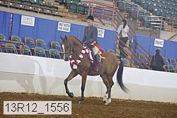 13r12_1556 proof