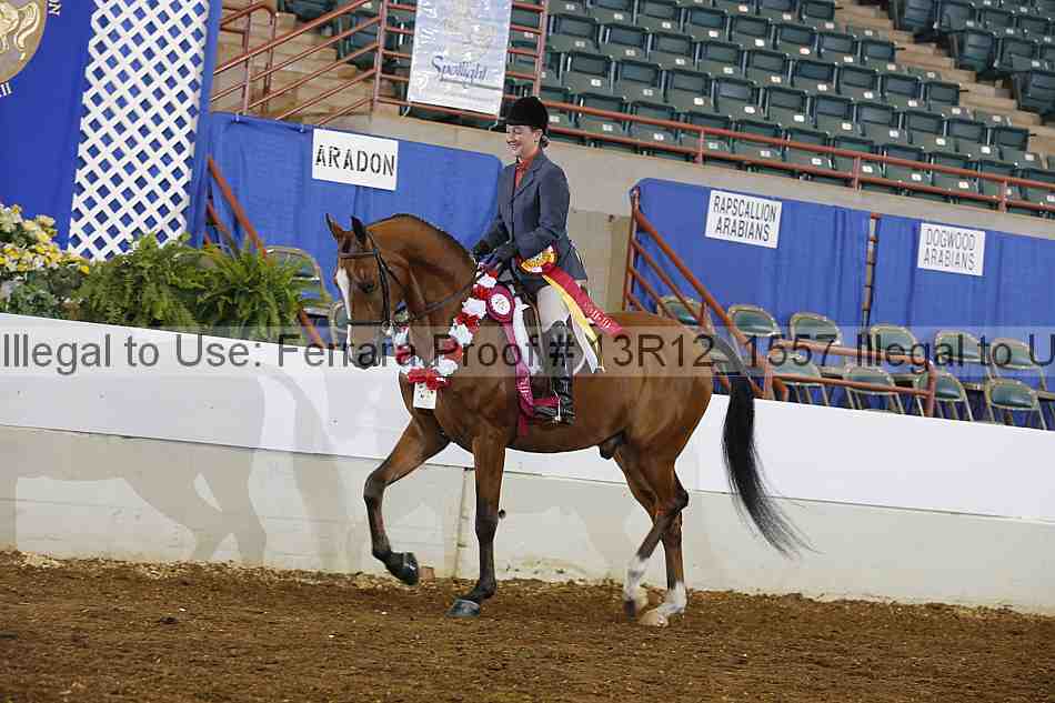 Proof 13r12_1557
