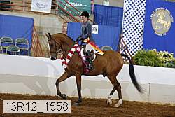 13r12_1558 proof