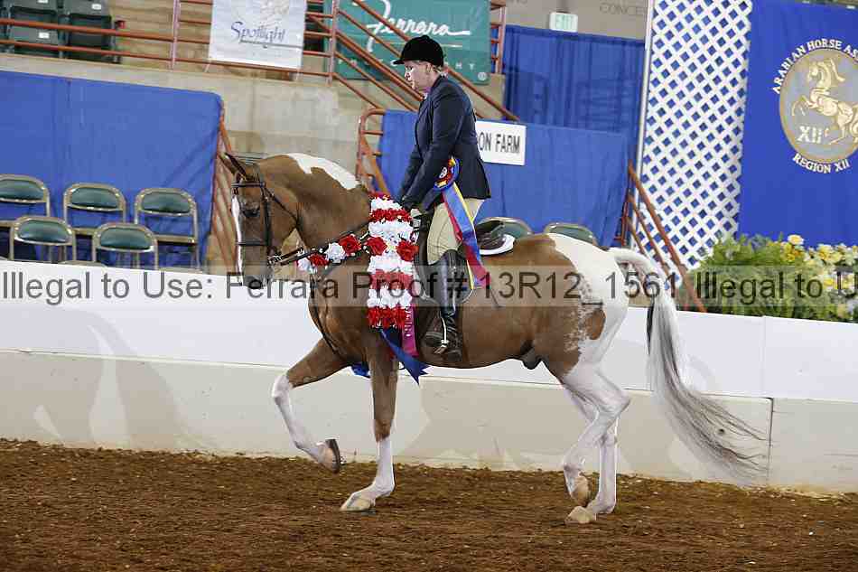 Proof 13r12_1561