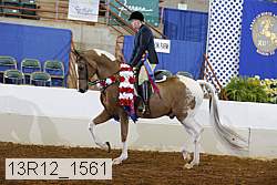 13r12_1561 proof