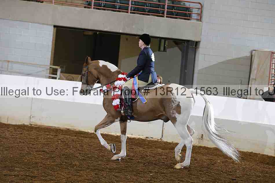 Proof 13r12_1563