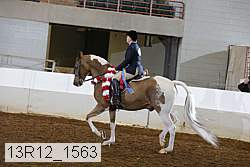 13r12_1563 proof