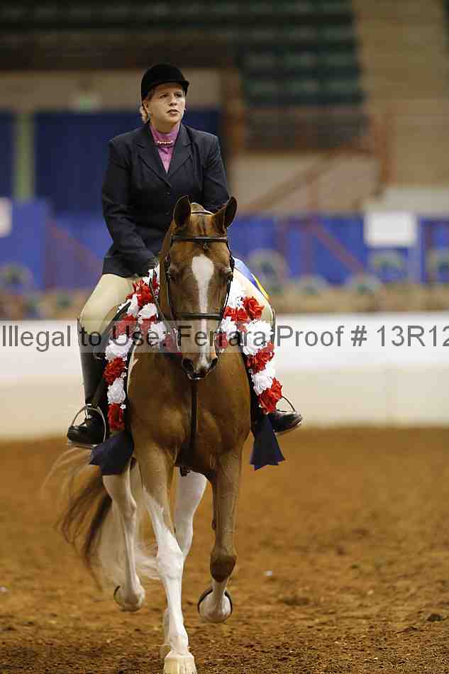 Proof 13r12_1565