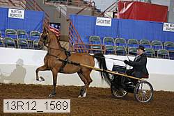 13r12_1569 proof