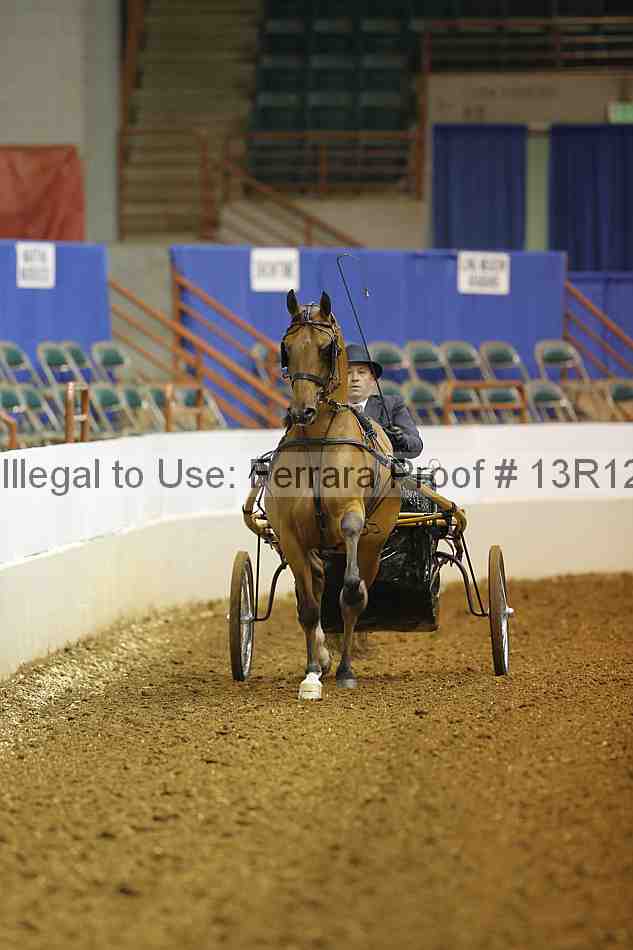 Proof 13r12_1570
