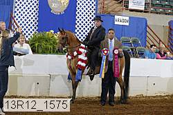 13r12_1575 proof